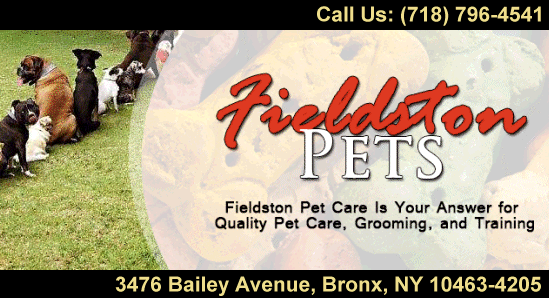 Mobile pet grooming sales bronx